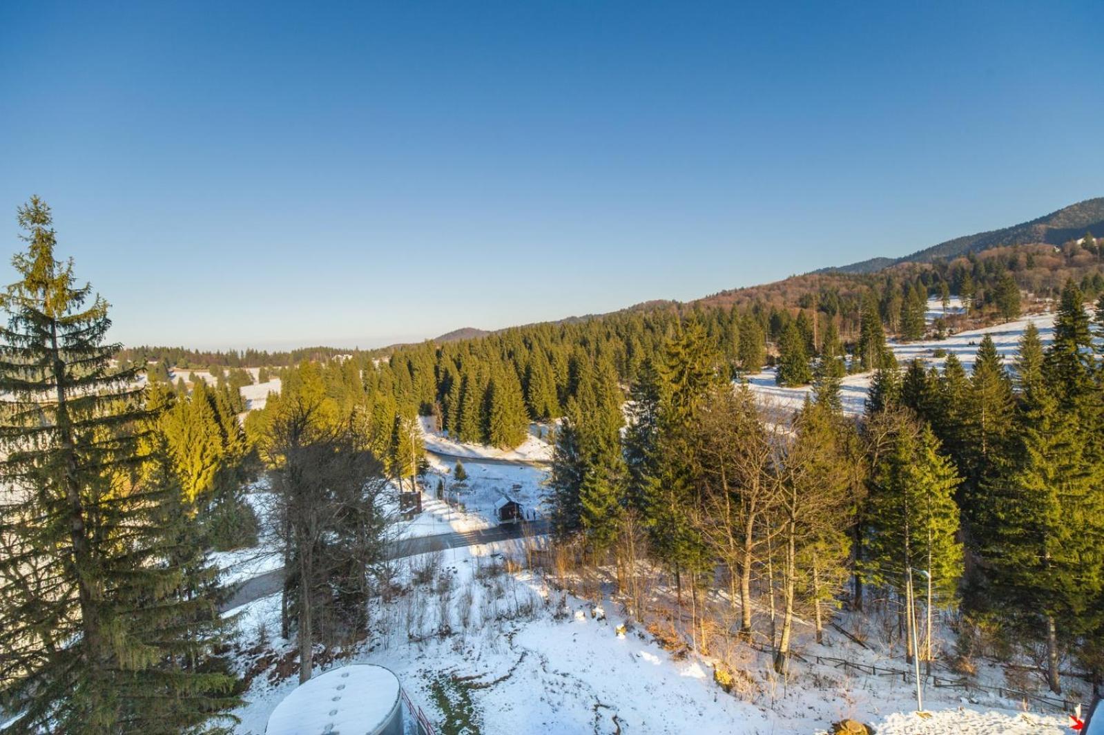 Pine Woods Apartment A43 In Silver Mountain Poiana Brašov Exteriér fotografie